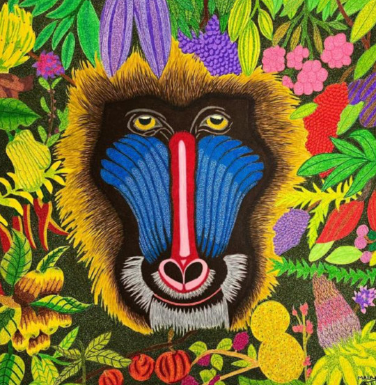 Couleurs exotiques