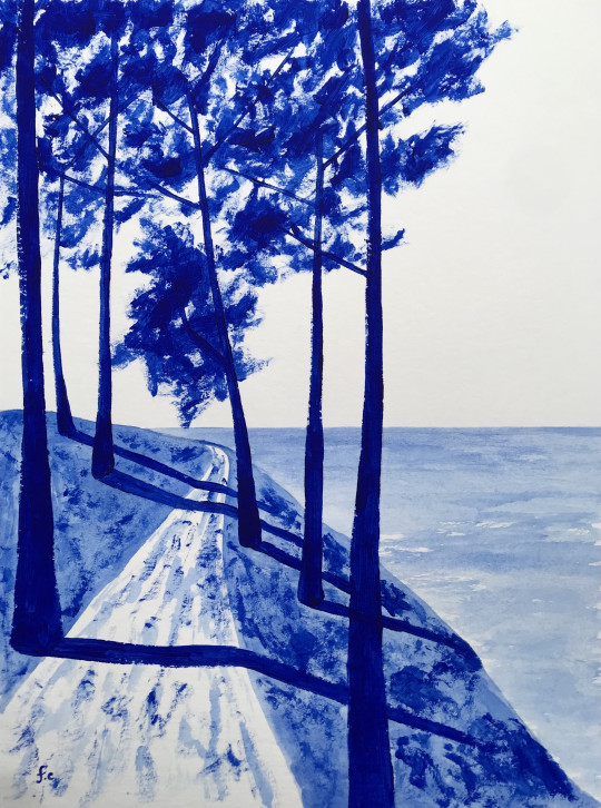 Le sentier côtier