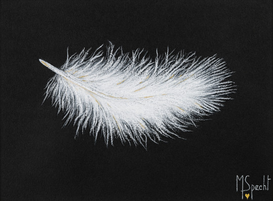 LA PLUME DE LAUVIAH