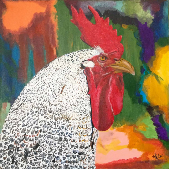 O gallo