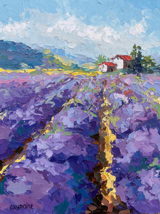 Lavender Dreams of Provence