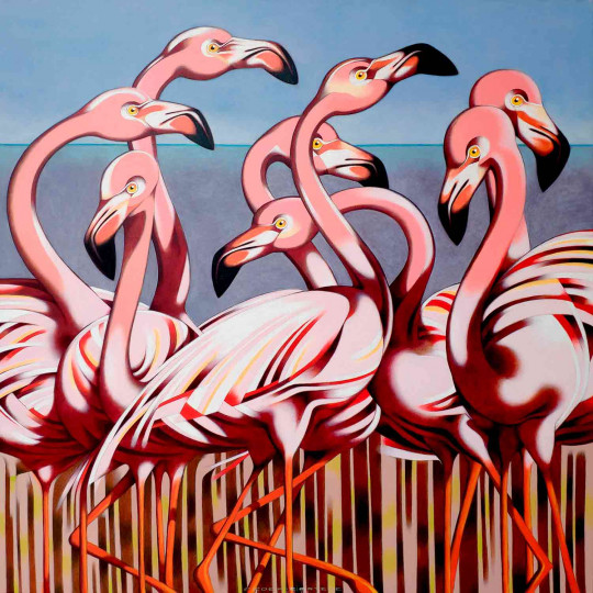 Flamingos