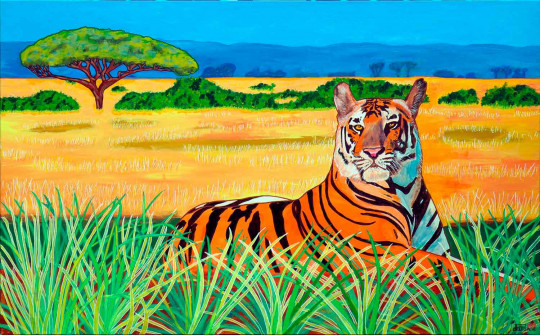 Un tigre dans la savane !