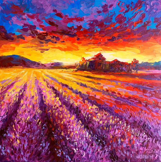 Sunset in a lavender field