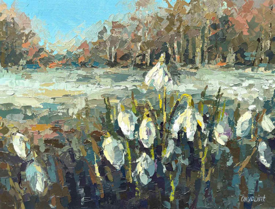 Snowdrops