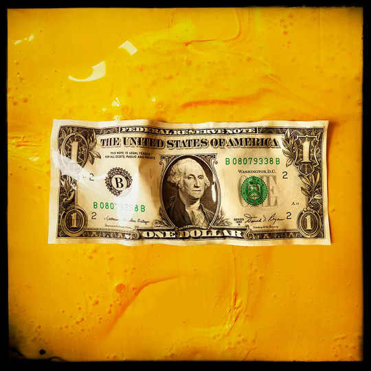 Dollar / Yellow