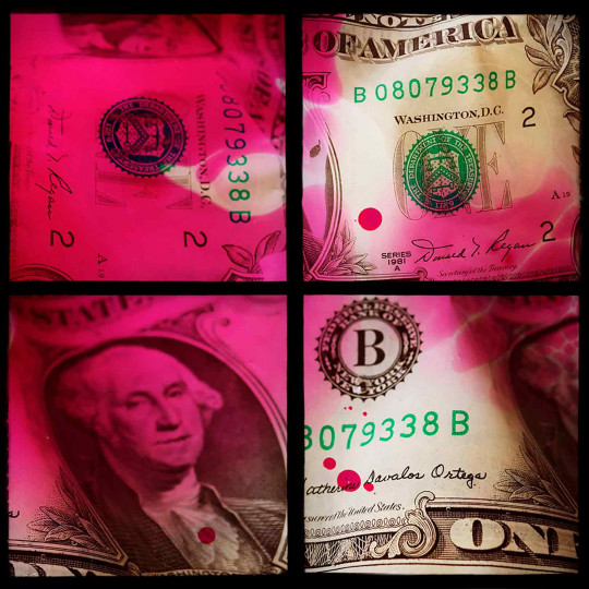 Dollar Details Pink