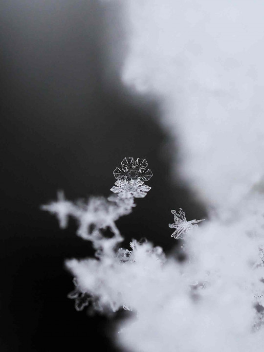 Flocons effet miroir