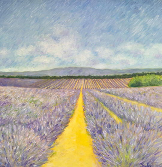 Champ de lavande à Valensole